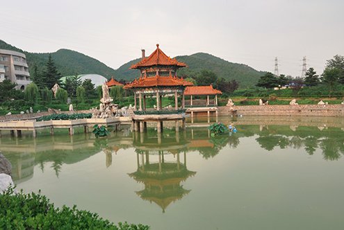 便于对照栏目动态与后续阅读