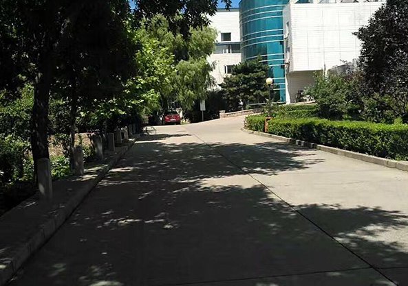 赛博体育官方网站官方网站入口说明」梳